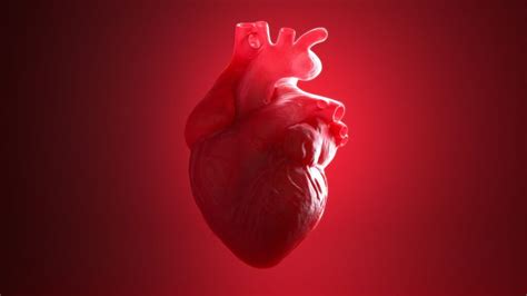 data and results|Detailed data on Alnylam’s heart drug show substantial benefit, .